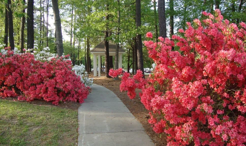 PRESBYTERIAN HOME OF SOUTH CAROLINA-COLUMBIA