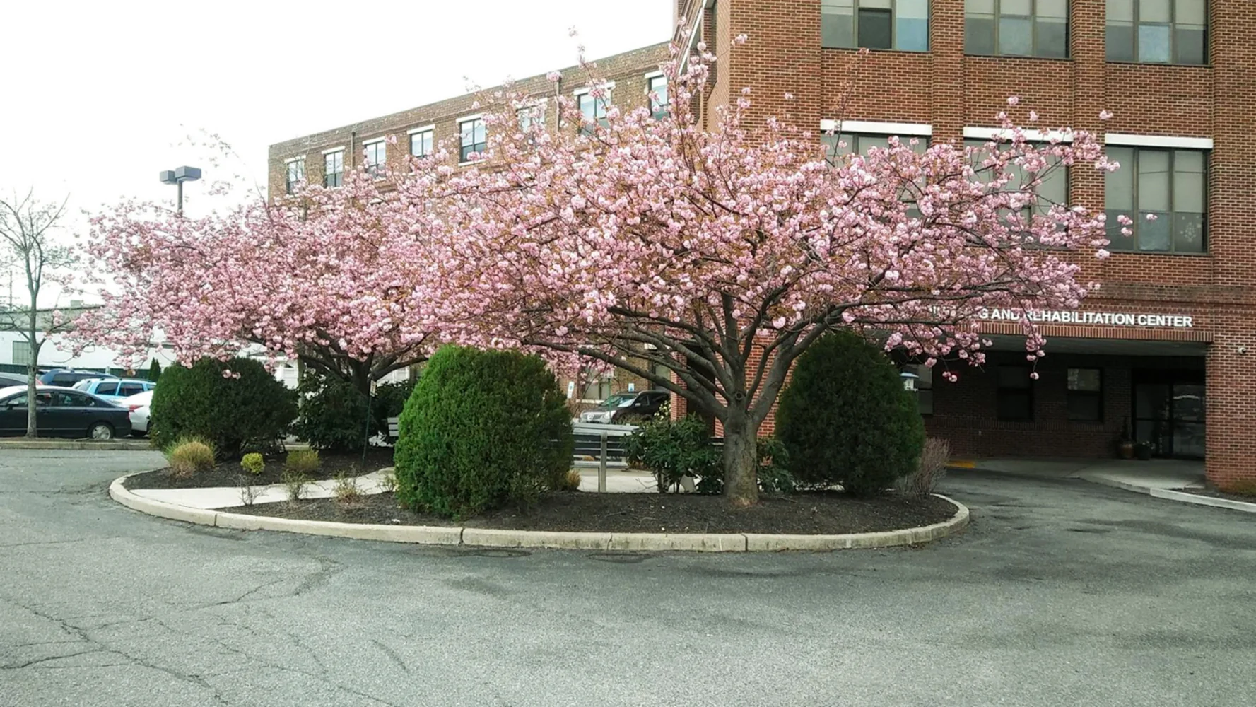 RIVERSIDE HEALTH AND REHABILITATION CENTER LLC