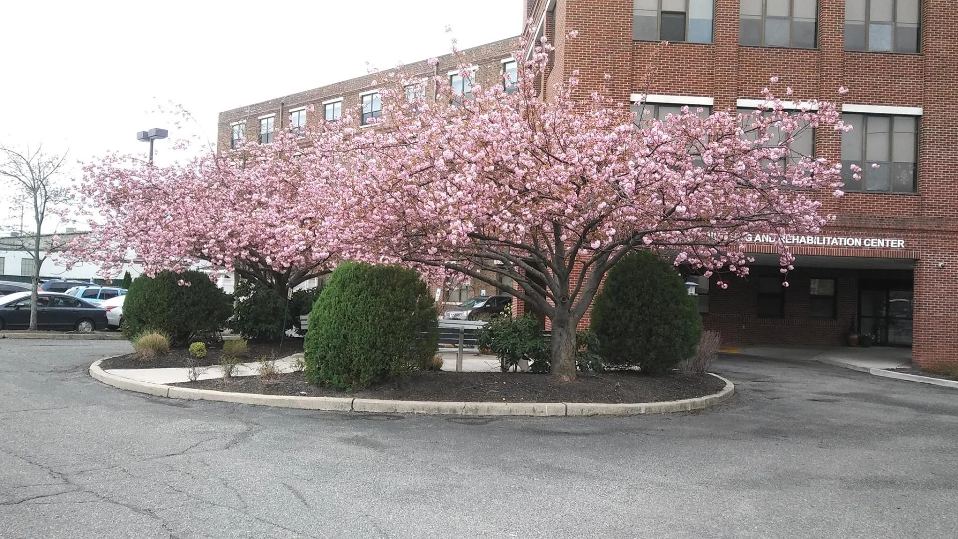RIVERSIDE HEALTH AND REHABILITATION CENTER LLC