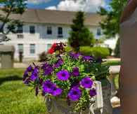 ROSE GARDEN NURSING AND REHABILITATION CENTER