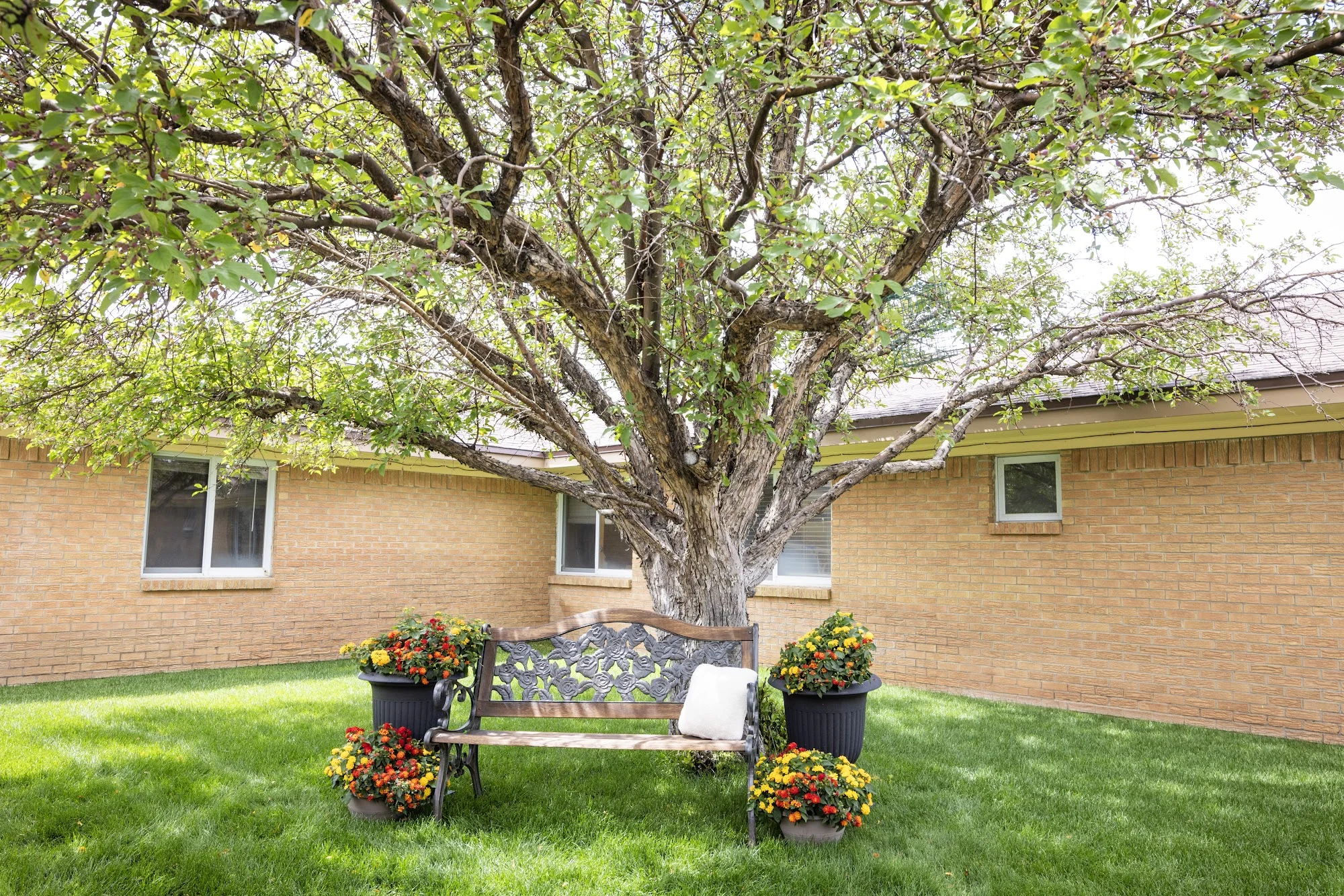 SAGE VIEW CARE CENTER