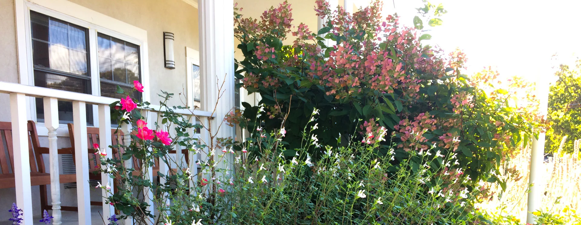 SAN SIMEON BY THE SOUND CENTER FOR NURSING & REHAB