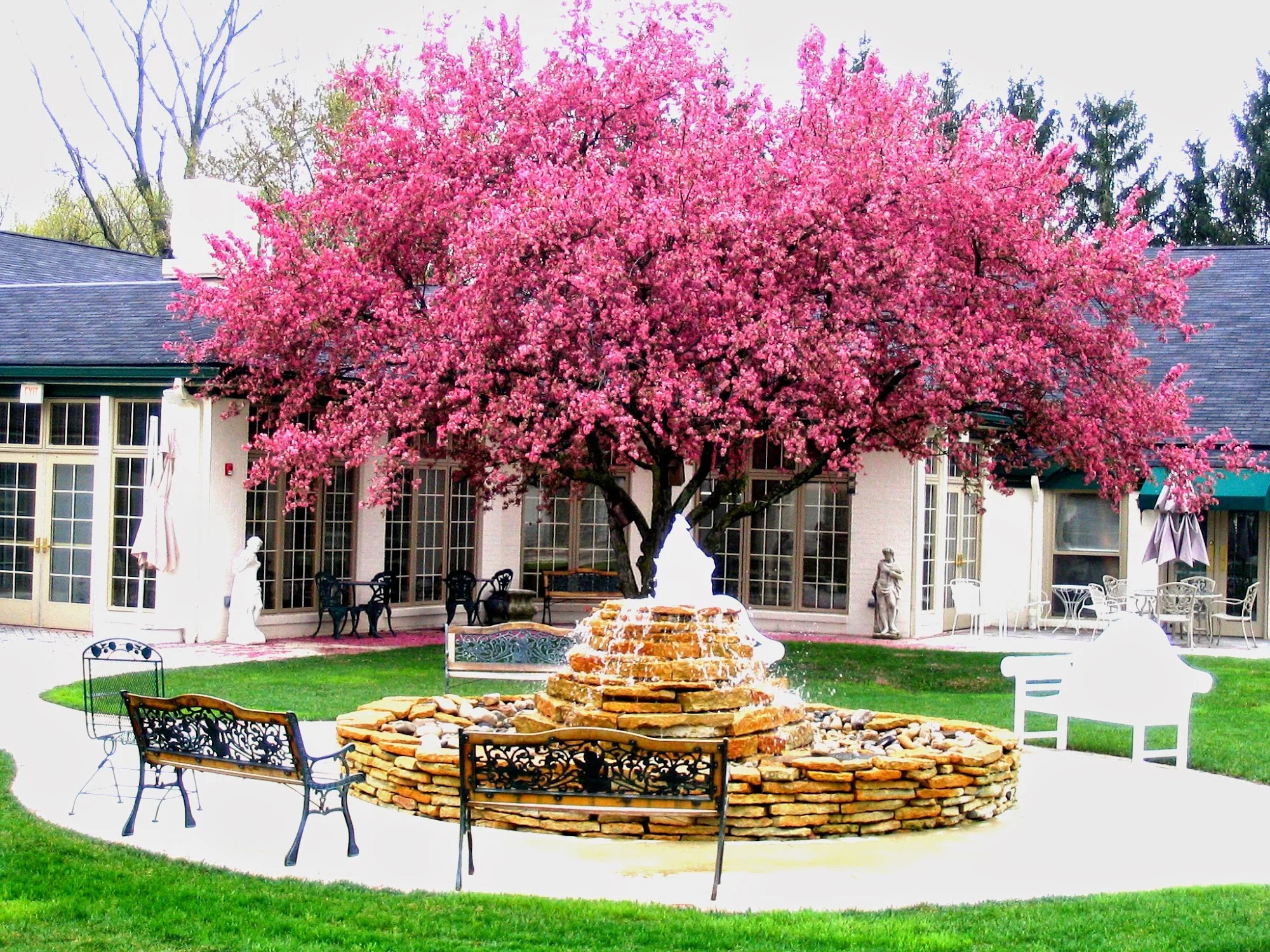 SAPPHIRE REHABILITATION AND CARE CENTER