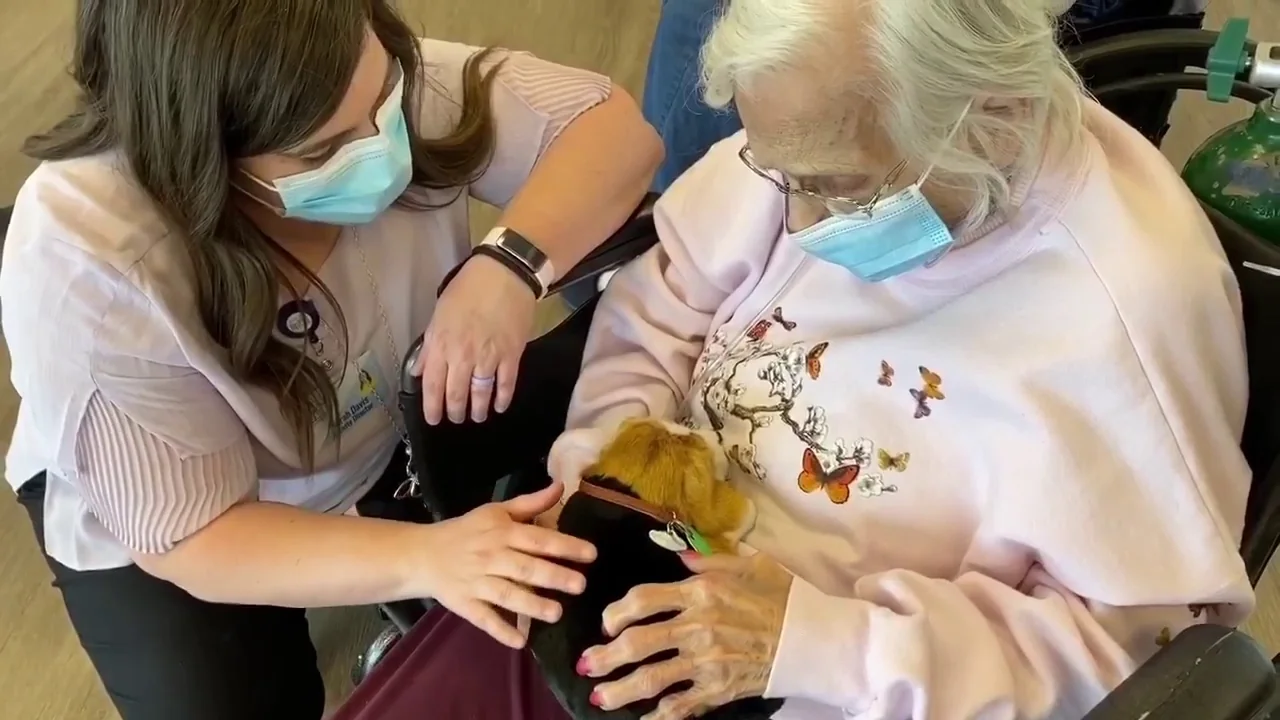 SAYRE CHRISTIAN VILLAGE NURSING HOME