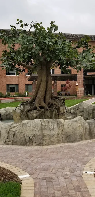 SCHMITT WOODLAND HILLS