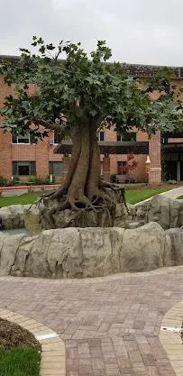 SCHMITT WOODLAND HILLS