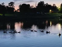SHANOAN SPRINGS NURSING AND REHABILITATION