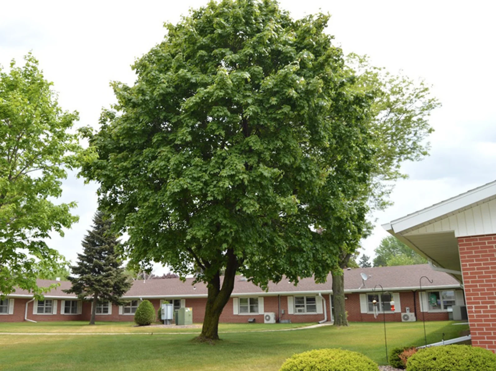 SHAWANO HEALTH SERVICES