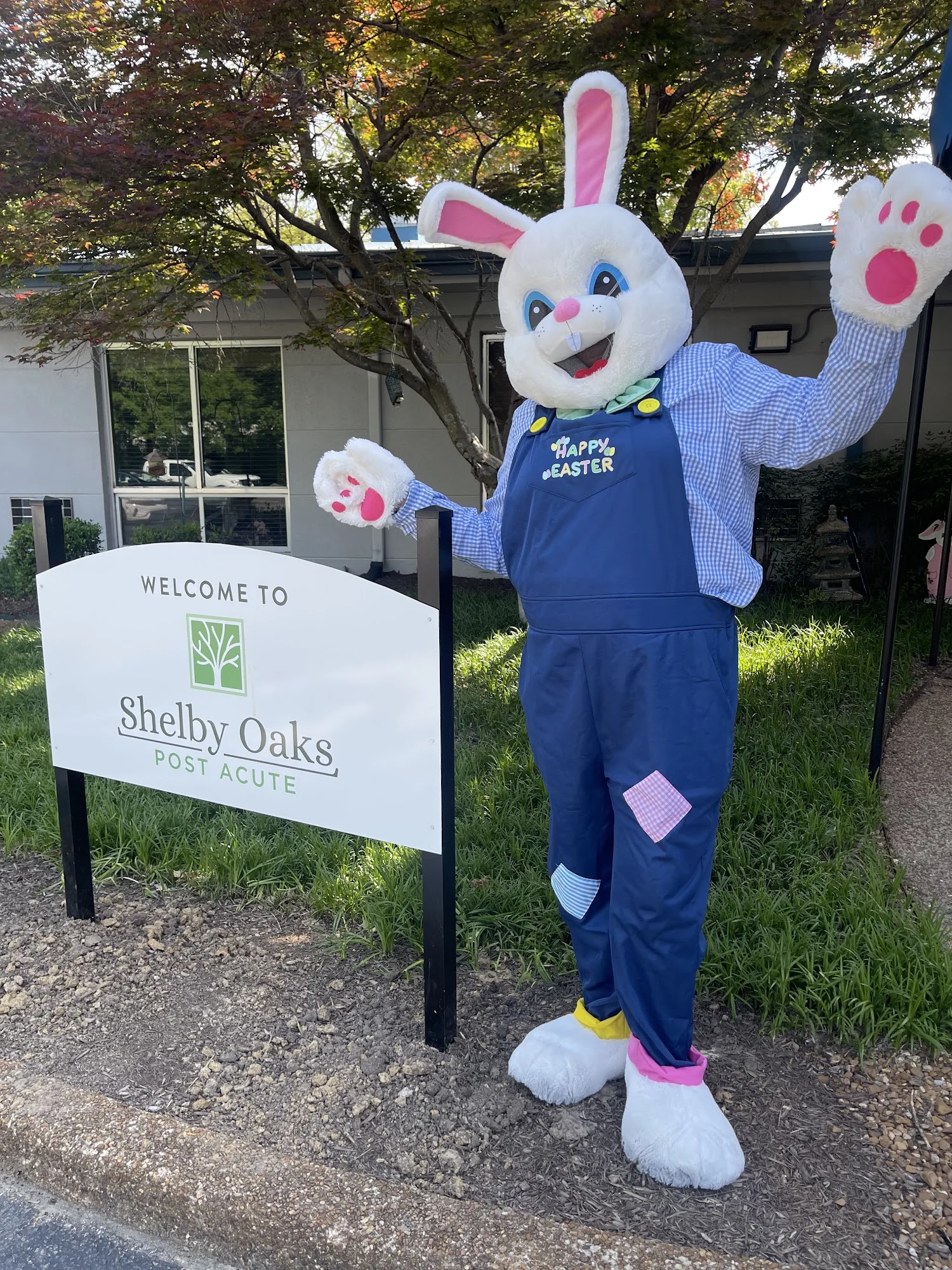 SHELBY OAKS POST ACUTE