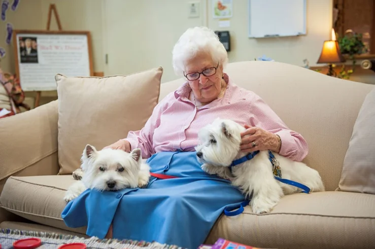 SHENANGO PRESBYTERIAN SENIORCARE