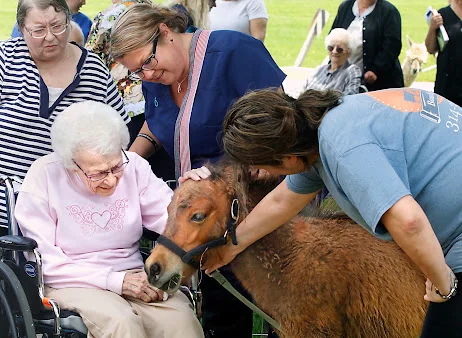SHIRKEY NURSING AND REHABILITATION CENTER