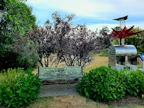 SILVER CREEK REHAB AND HEALTHCARE CENTER