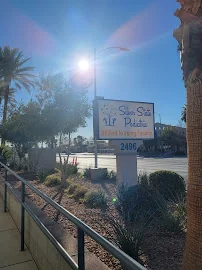 SILVER STATE PEDIATRIC SKILLED NURSING FACILITY