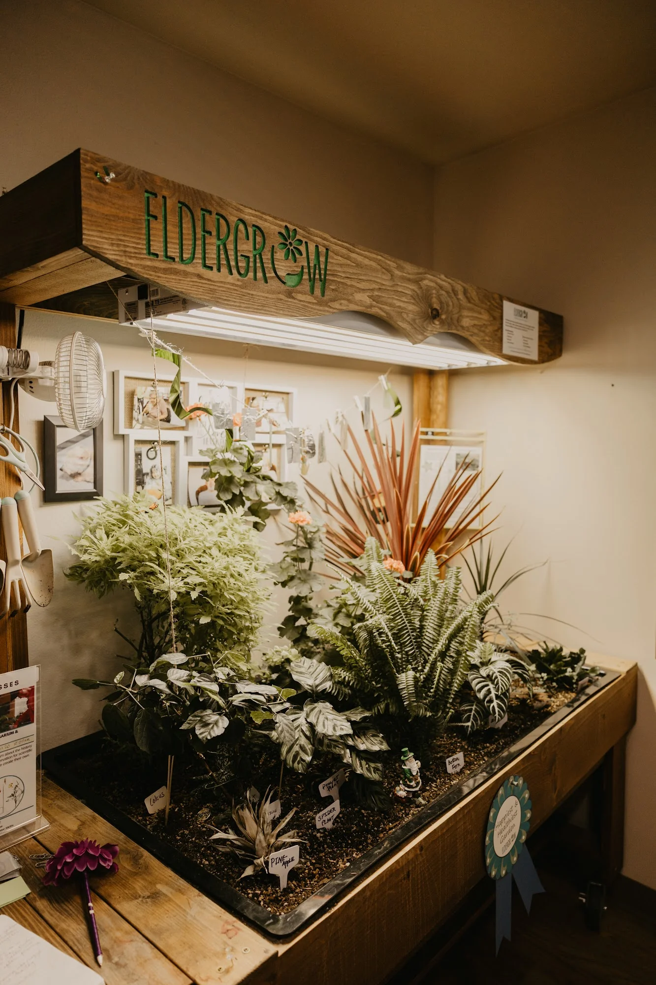 SILVERTON HEALTH AND REHABILITATION OF CASCADIA