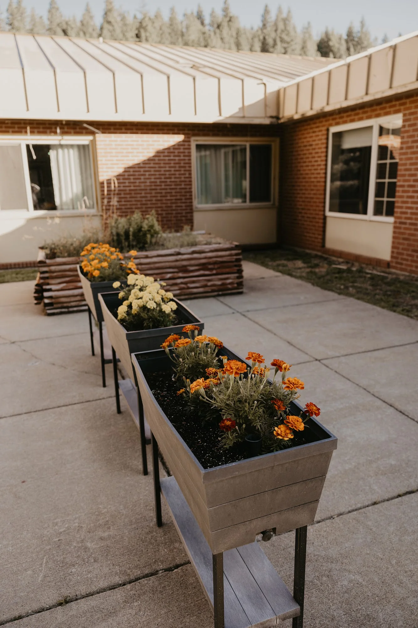 SILVERTON HEALTH AND REHABILITATION OF CASCADIA