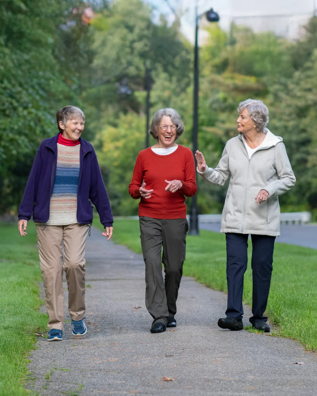 SKILLED NURSING FACILITY AT NORTH HILL (THE)