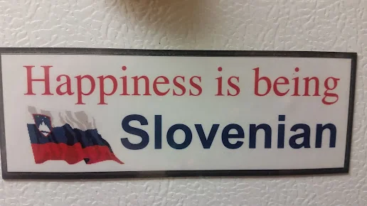 SLOVENE HOME FOR THE AGED