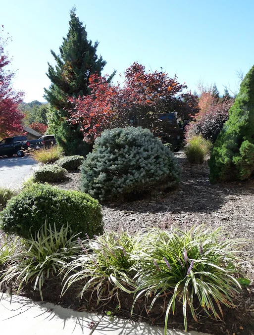 SMOKY MOUNTAIN HEALTH AND REHABILITATION CENTER