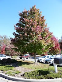 SMOKY MOUNTAIN HEALTH AND REHABILITATION CENTER