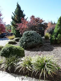 SMOKY MOUNTAIN HEALTH AND REHABILITATION CENTER