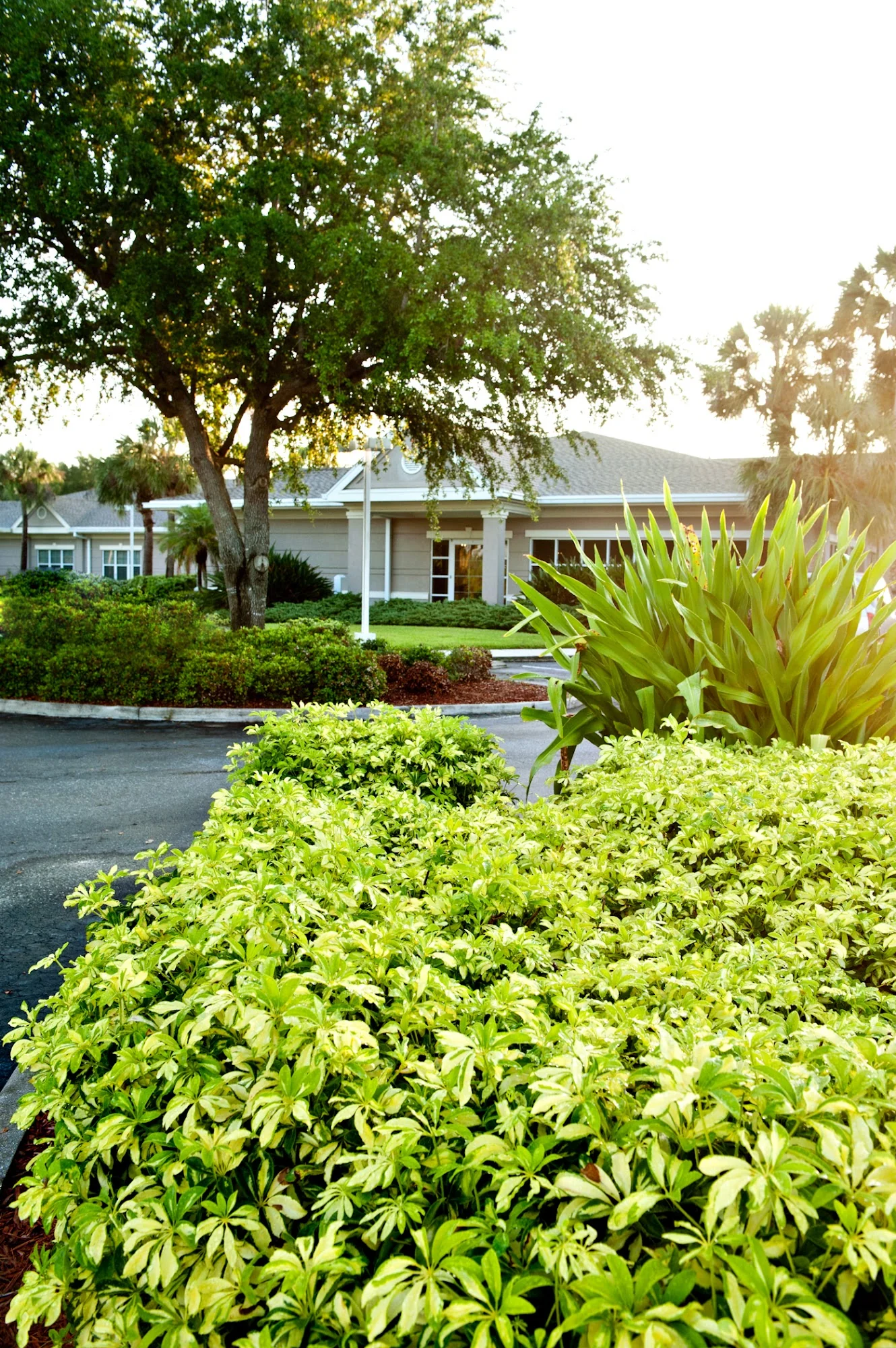 SOLARIS HEALTHCARE CHARLOTTE HARBOR