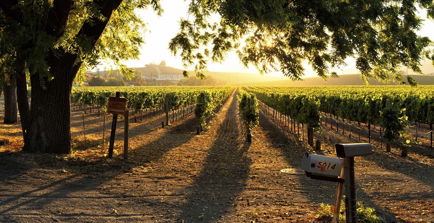 SONOMA POST ACUTE