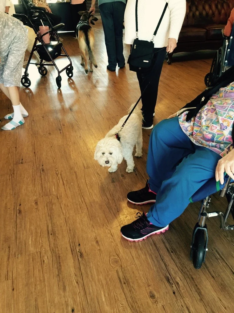 SOUTHERN HILLS REHABILITATION CENTER