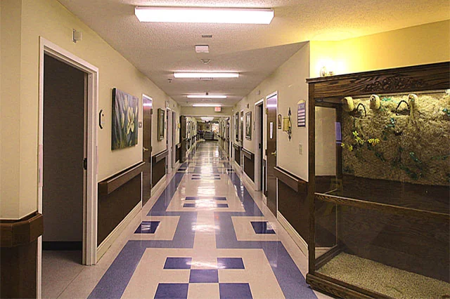 SOUTHPOINTE HEALTHCARE AND REHABILITATION