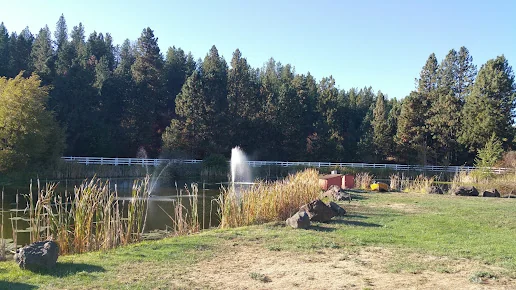 SPOKANE VALLEY HEALTH AND REHABILITATION OF CASCAD