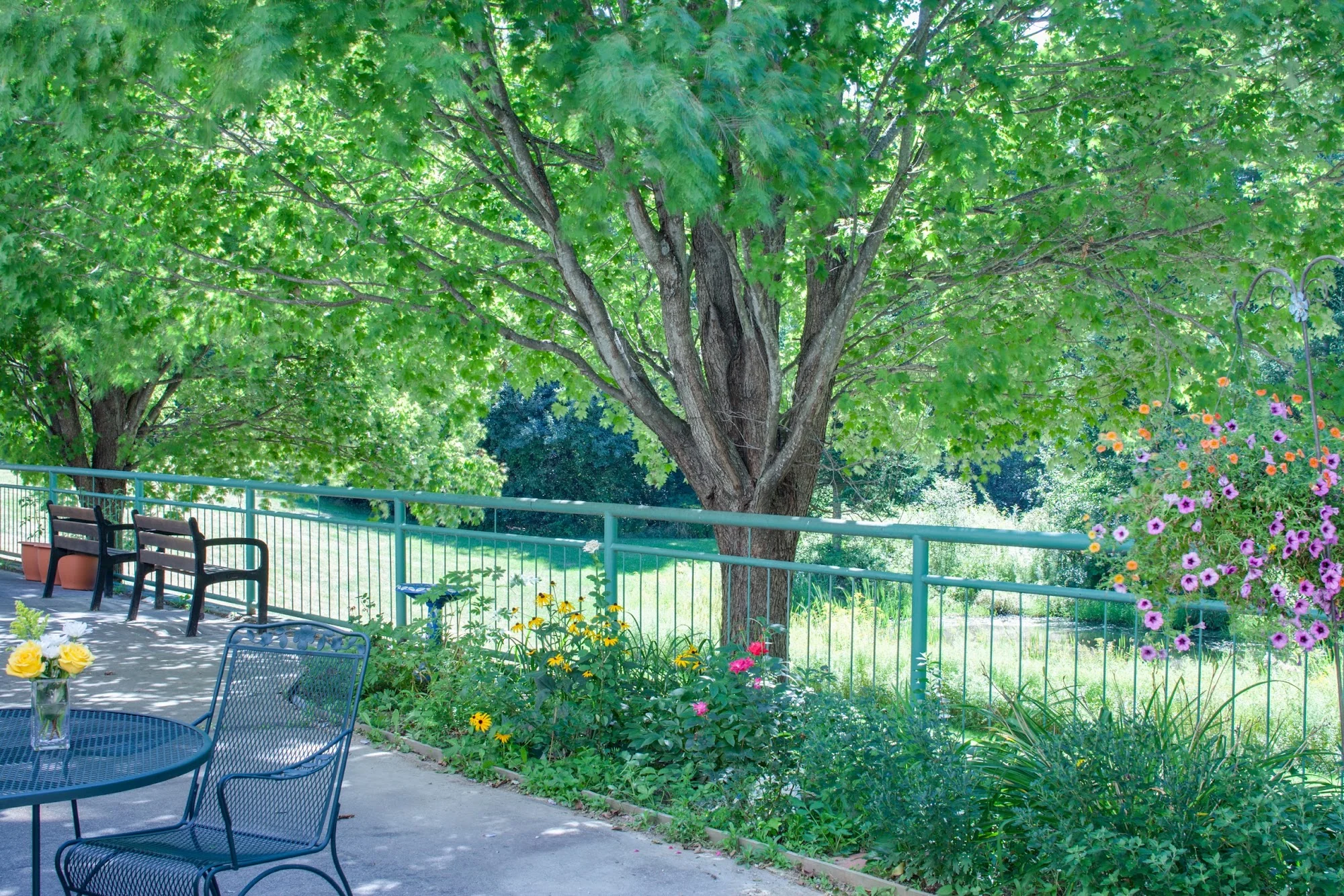 SPRINGBROOK CENTER