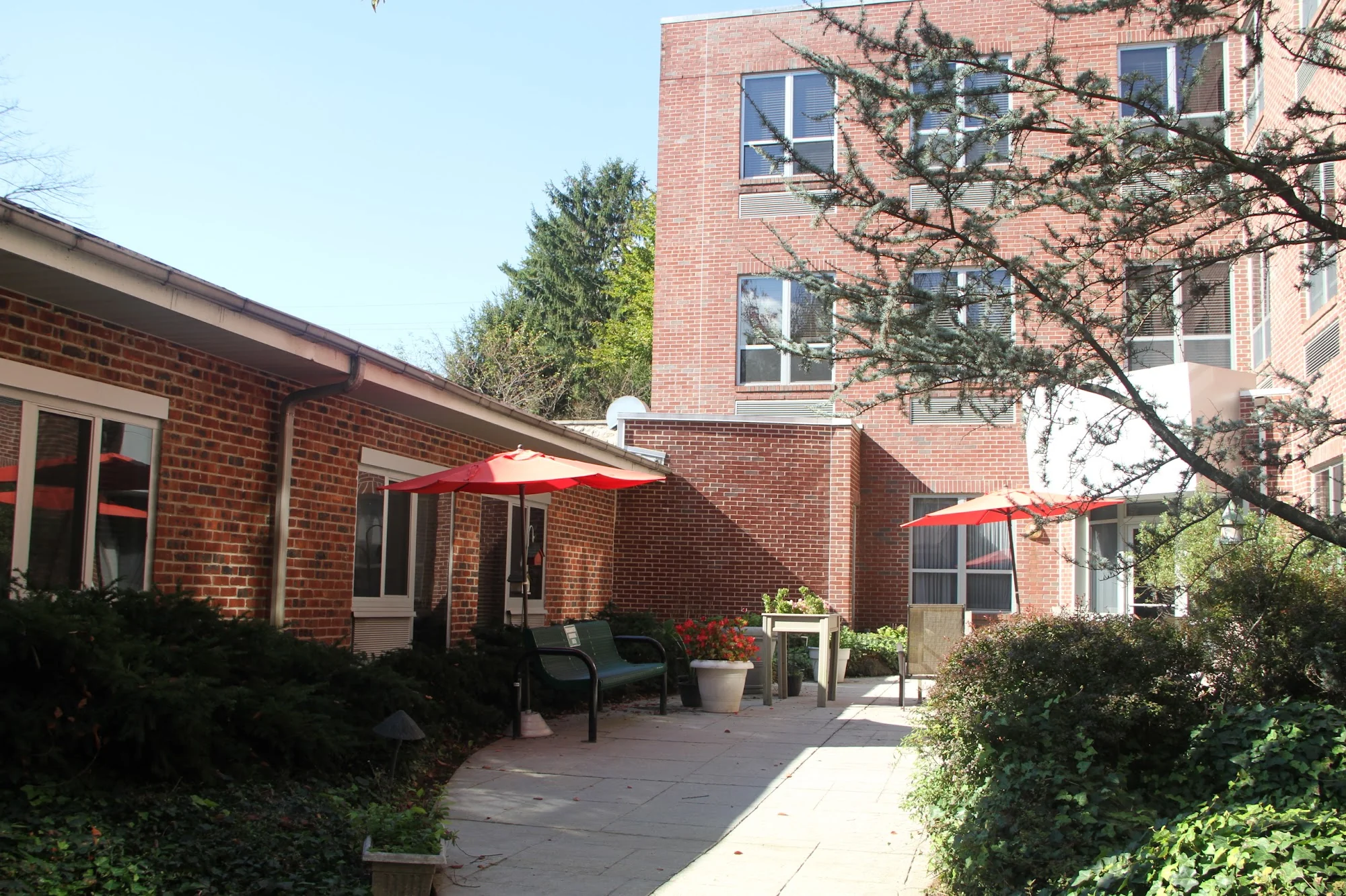 SPRINGFIELD REHABILITATION AND HEALTHCARE  CENTER