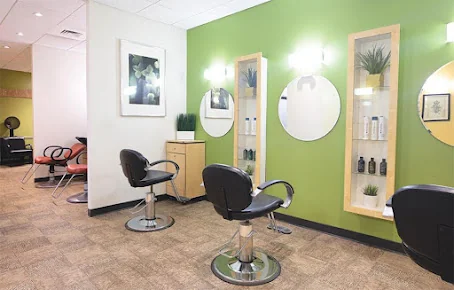 SPRINGS AT 3030 PARK, THE