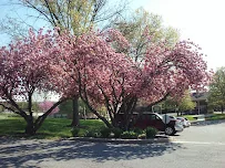 ST ANNE'S RETIREMENT COMMUNITY