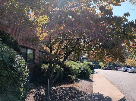 ST JOSEPH MANOR HEALTH CARE INC