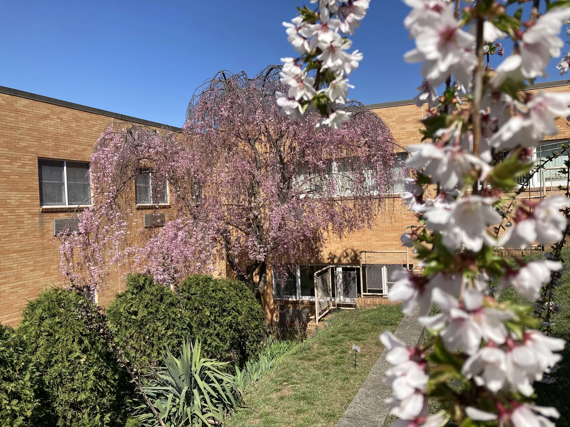 ST JOSEPH'S HOME AL & NC, INC