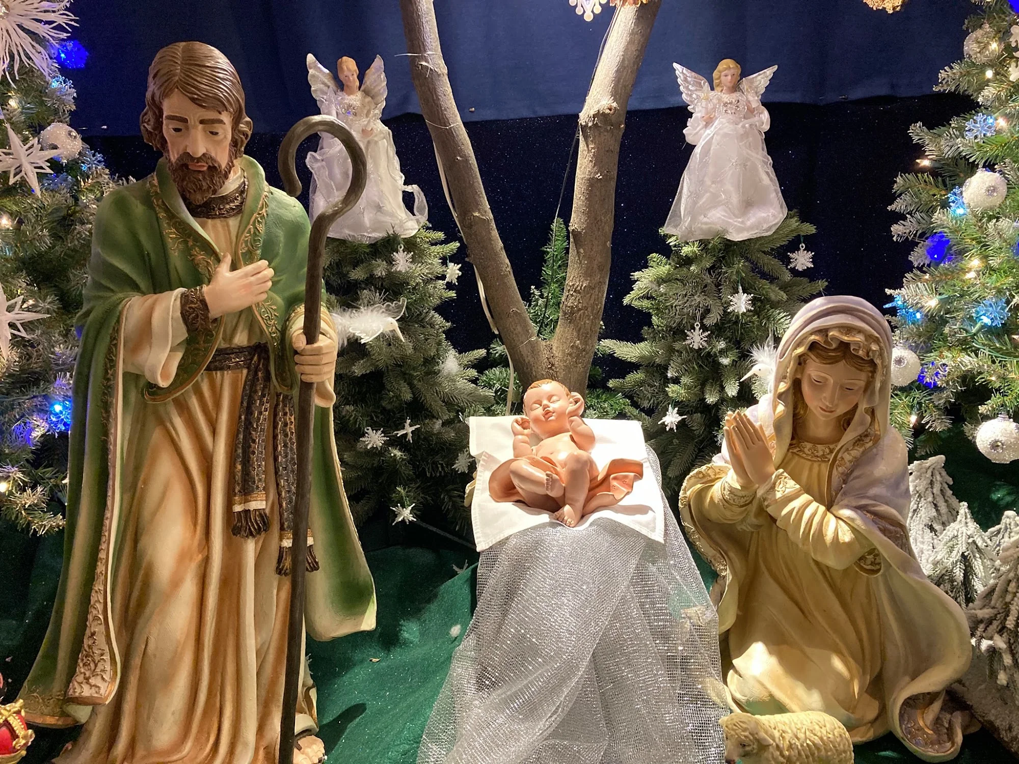 ST JOSEPH'S HOME AL & NC, INC