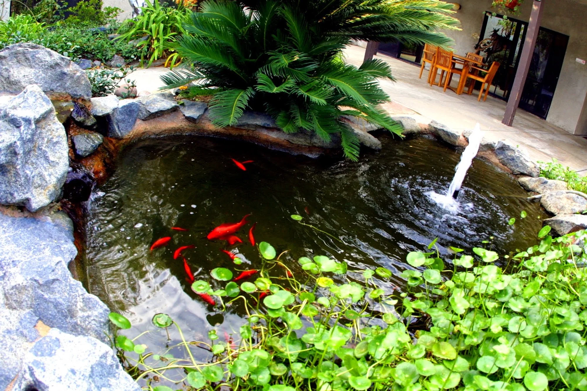 STANFORD COURT SKILLED NURSING & REHAB CENTER