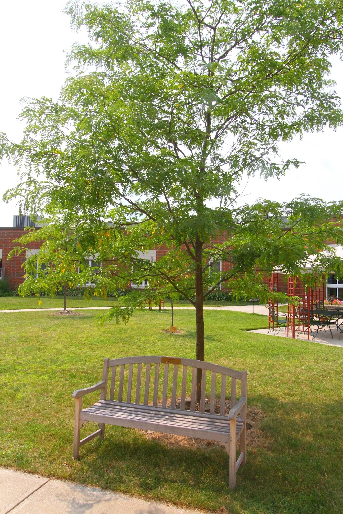 STEUBEN CENTER FOR REHABILITATION AND HEALTHCARE