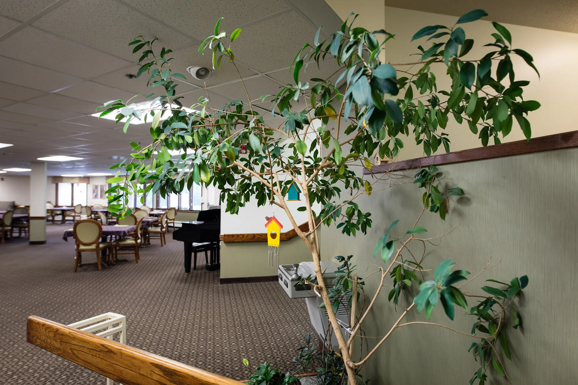 STONEYBROOK RETIREMENT COMMUNITY