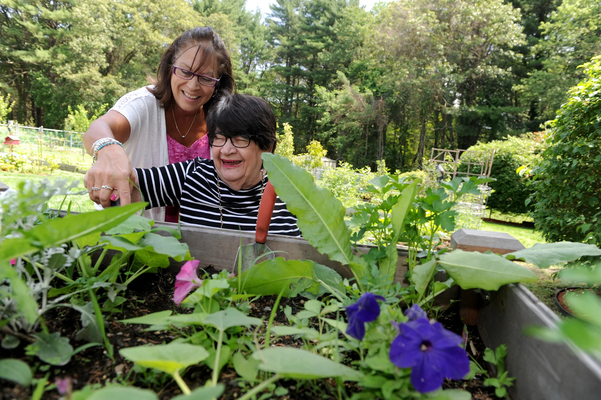 SUDBURY PINES EXTENDED CARE