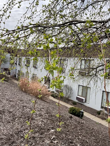 SUNDALE NURSING HOME