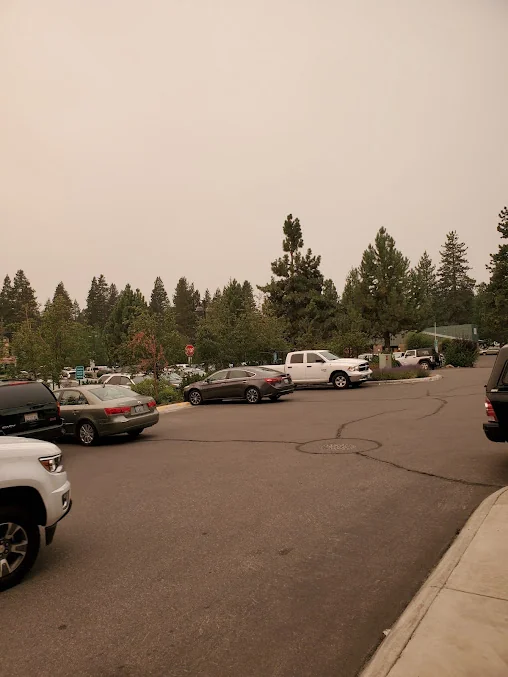 TAHOE FOREST HOSPITAL D/P SNF