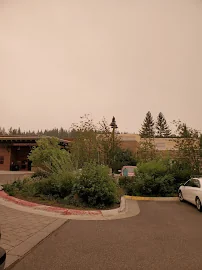 TAHOE FOREST HOSPITAL D/P SNF