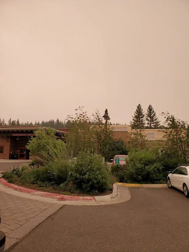 TAHOE FOREST HOSPITAL D/P SNF