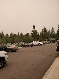 TAHOE FOREST HOSPITAL D/P SNF