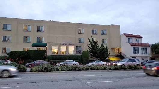 THE AVENUES TRANSITIONAL CARE CENTER