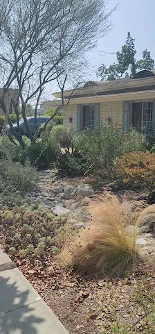 THE CALIFORNIAN PASADENA HEALTHCARE
