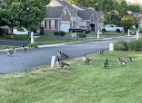 THE MOORINGS AT LEWES