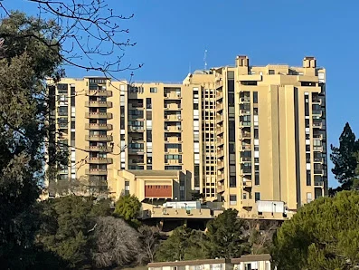 THE TAMALPAIS