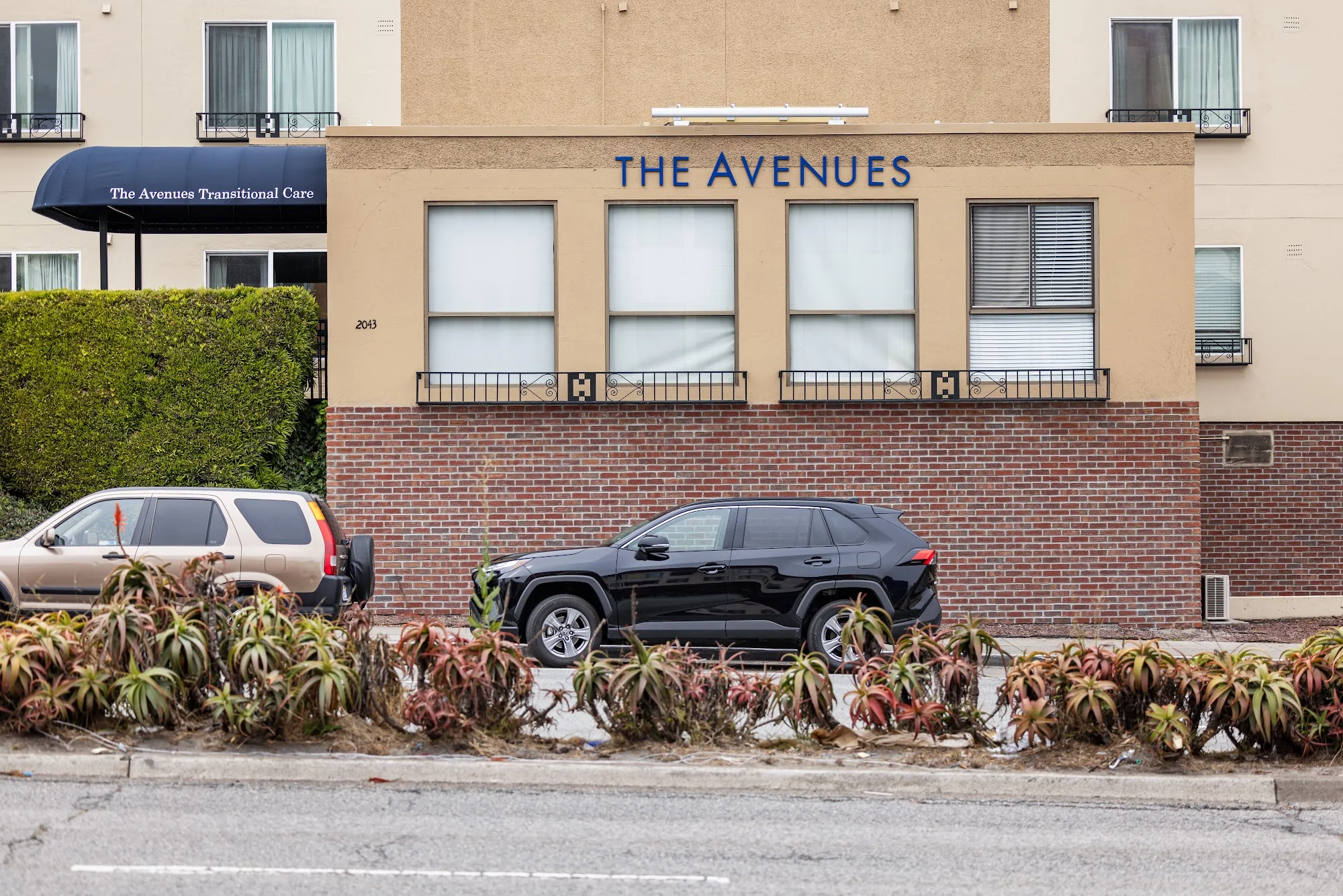 THE AVENUES TRANSITIONAL CARE CENTER